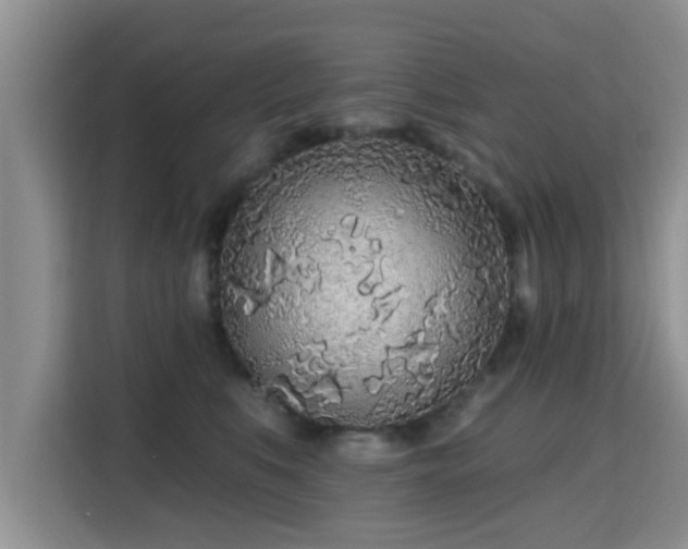 X0000115690519200911191116