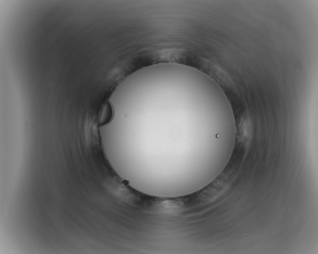 X0000115690522200911191116