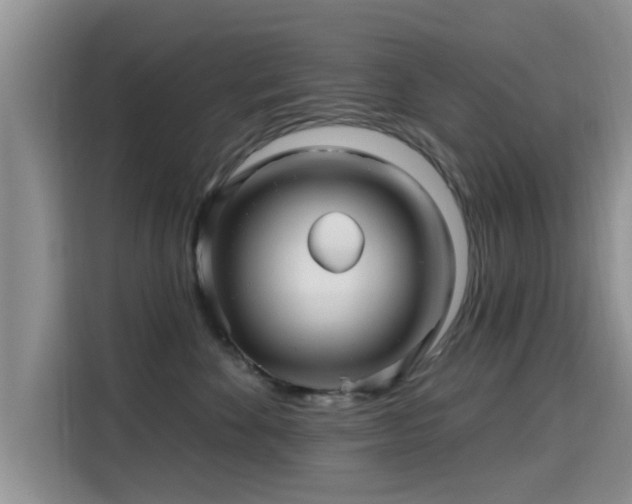 X0000115690524200911191116