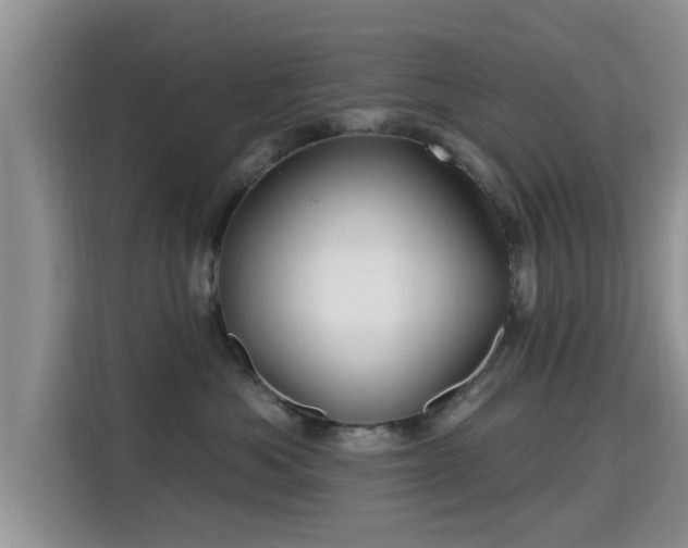 X0000115690525200911191116