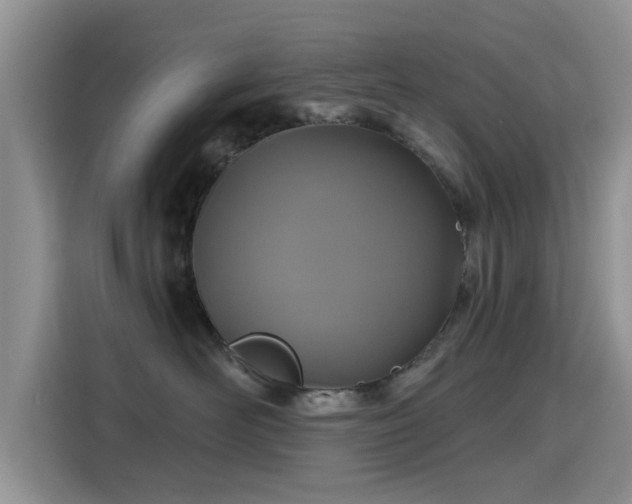 X0000115690526200911191116