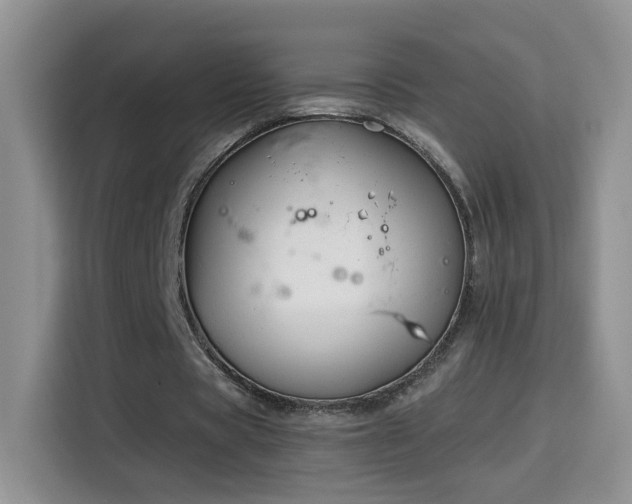 X0000115690529200911191116