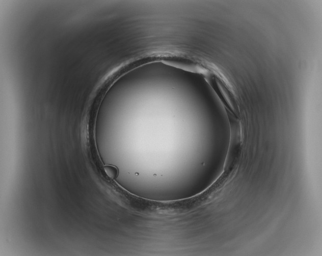 X0000115690531200911191116