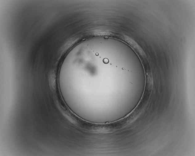 X0000115690533200911191116