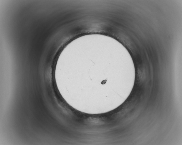 X0000115690534200911191116