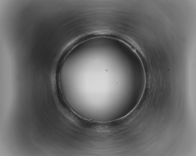 X0000115690535200911191116