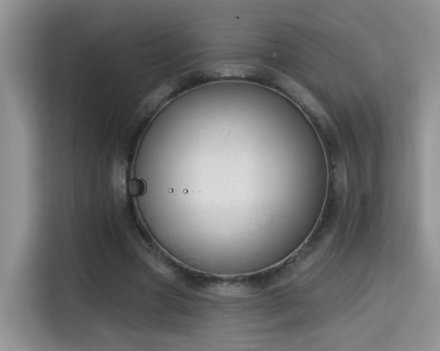 X0000115690537200911191116