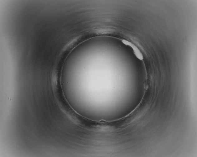 X0000115690539200911191116