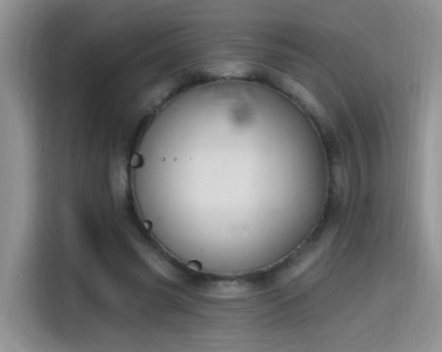 X0000115690541200911191116