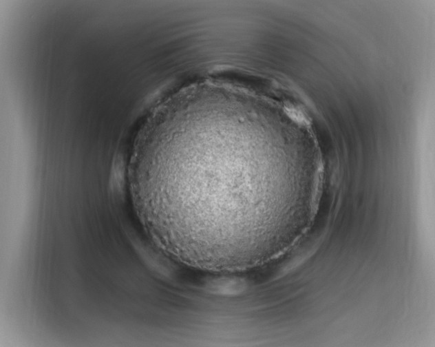 X0000115690542200911191116