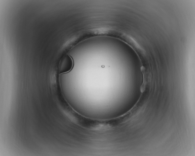 X0000115690543200911191116