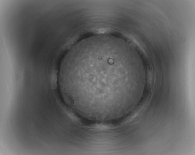 X0000115690545200911191116