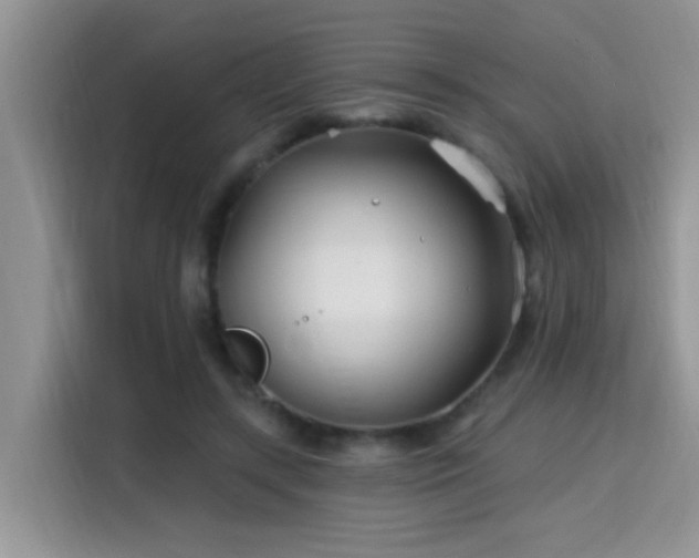 X0000115690547200911191116