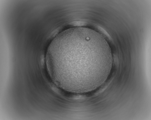 X0000115690549200911191116