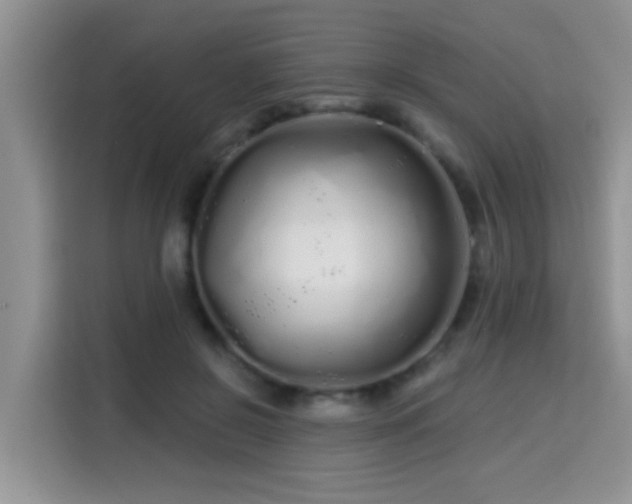 X0000115690550200911191116