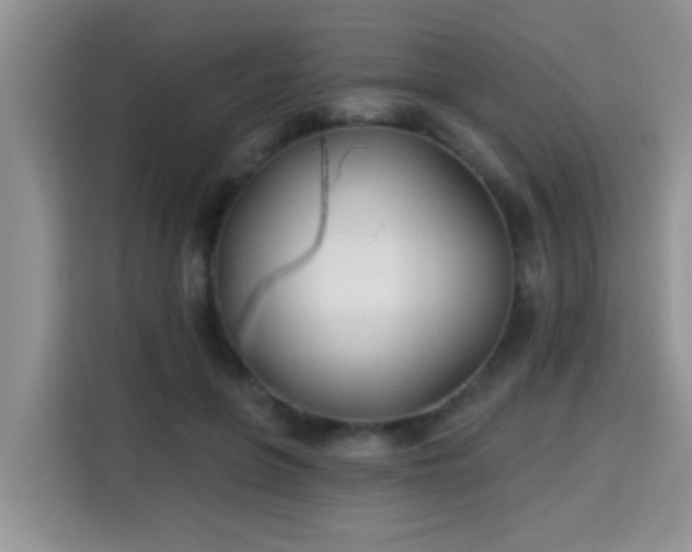 X0000115690551200911191116