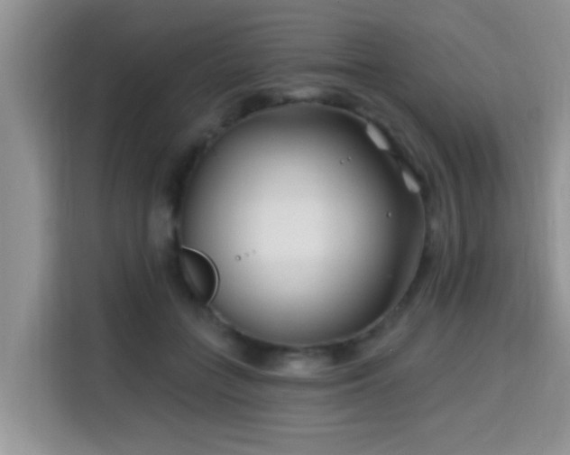 X0000115690555200911191116