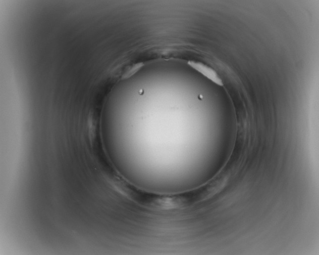 X0000115690558200911191116