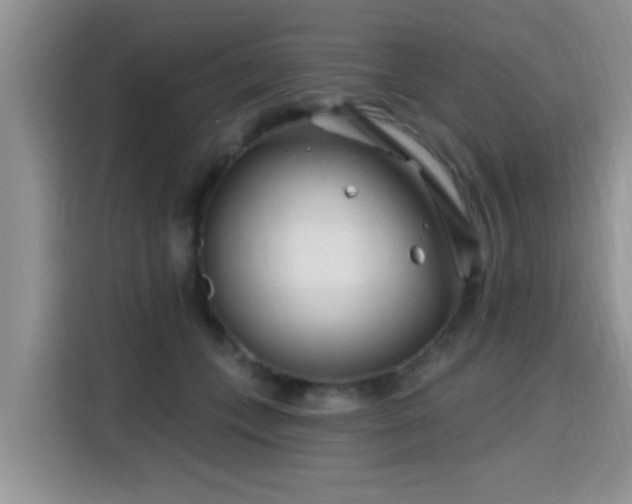 X0000115690559200911191116