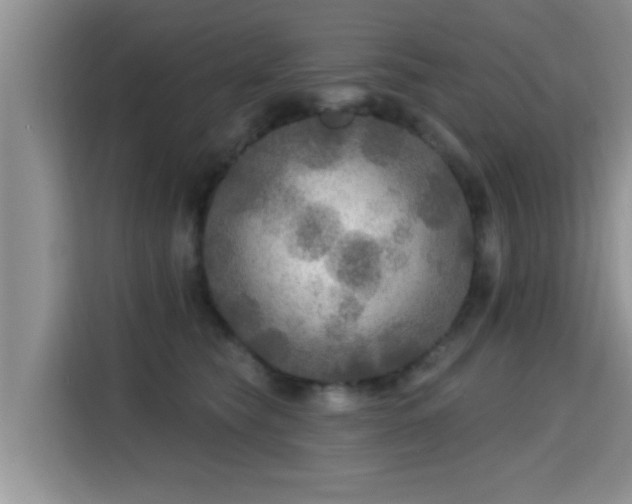 X0000115690565200911191116