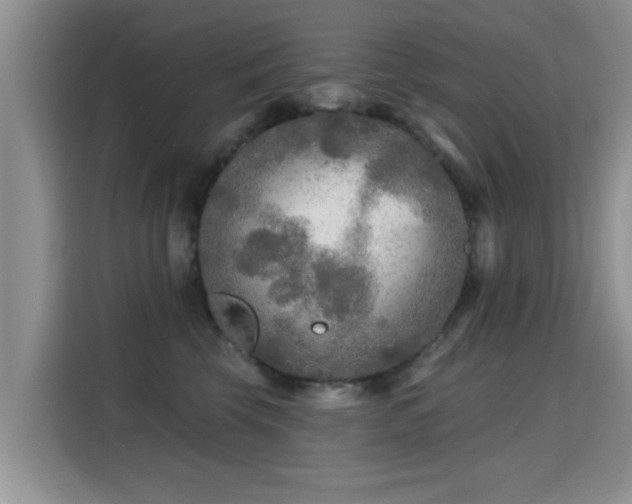 X0000115690569200911191116