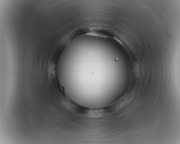 X0000115690571200911191116