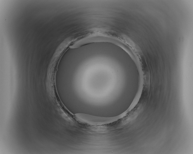 X0000115690577200911191116