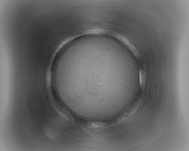 X0000115690579200911191116