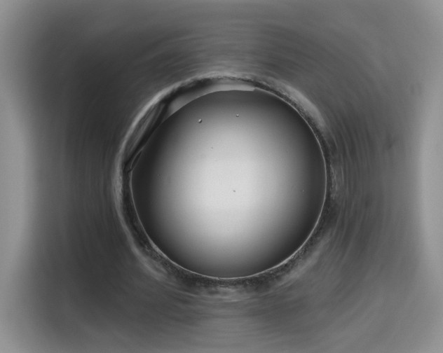 X0000115690580200911191116