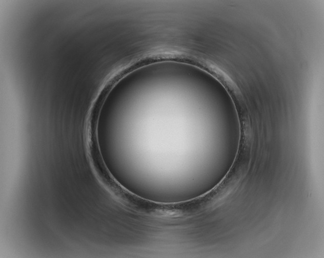 X0000115690582200911191116