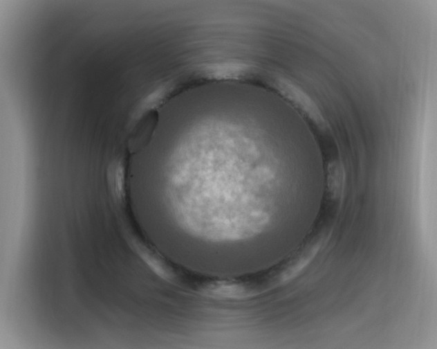 X0000115690589200911191115