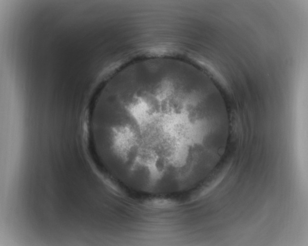 X0000115690590200911191115