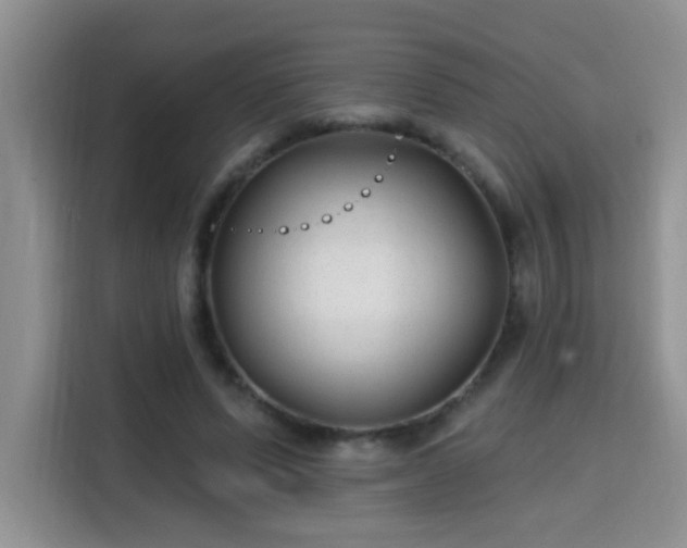 X0000115690591200911191115