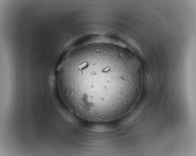 X0000115690596200911191115