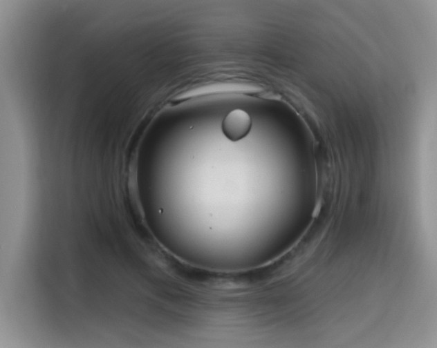 X0000115690597200911191115