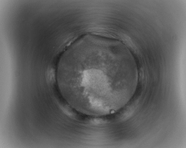 X0000115690598200911191115