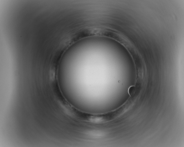 X0000115690602200911191115