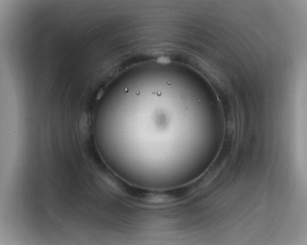 X0000115690605200911191115