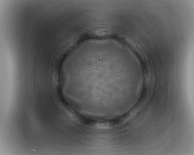 X0000115690606200911191115