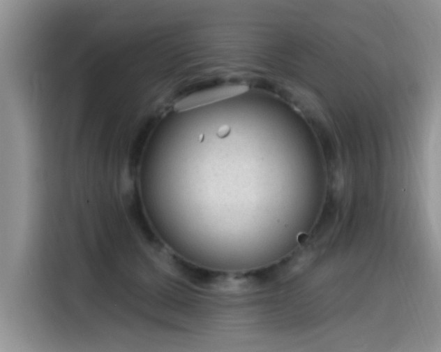 X0000115690607200911191115