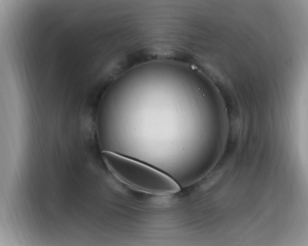 X0000115690609200911191115