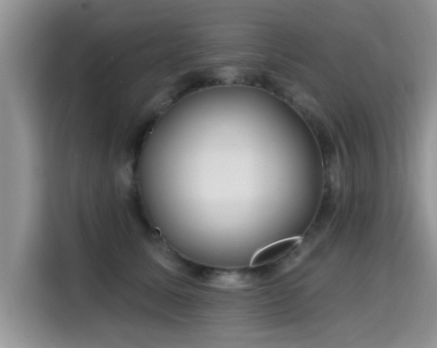 X0000115690611200911191115