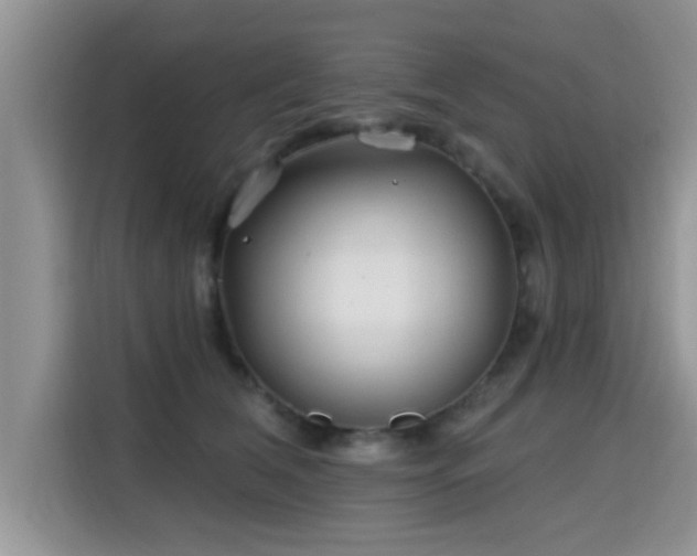 X0000115690612200911191115