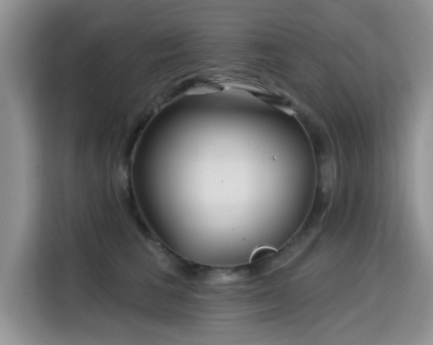 X0000115690613200911191115