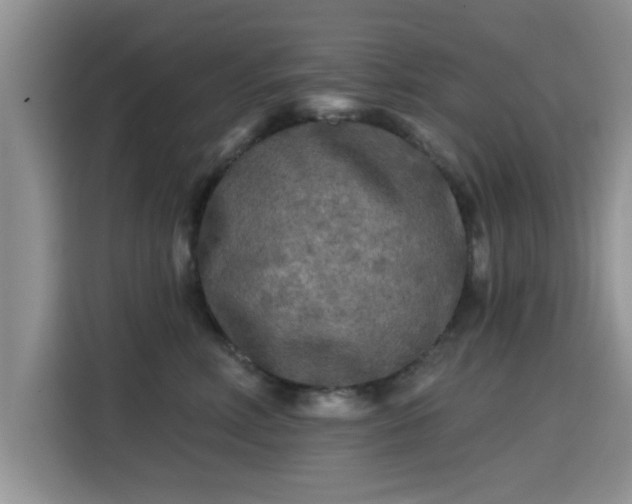 X0000115690618200911191115