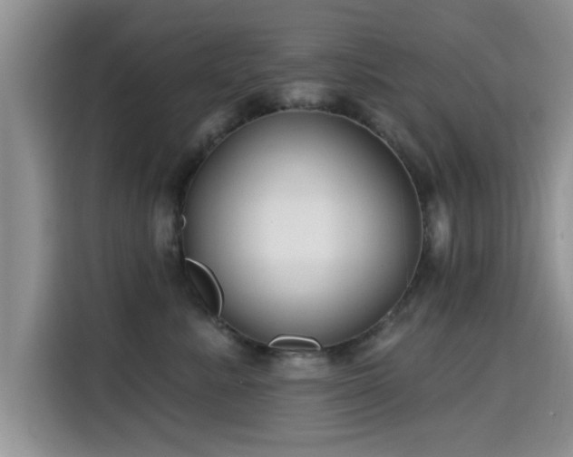 X0000115690619200911191115