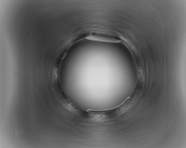 X0000115690621200911191115