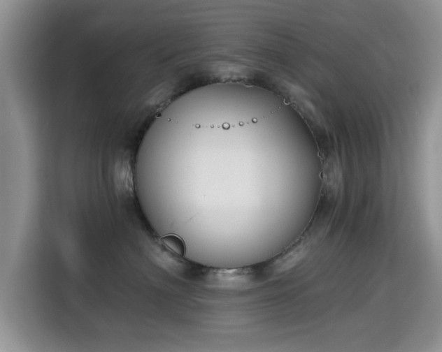 X0000115690622200911191115