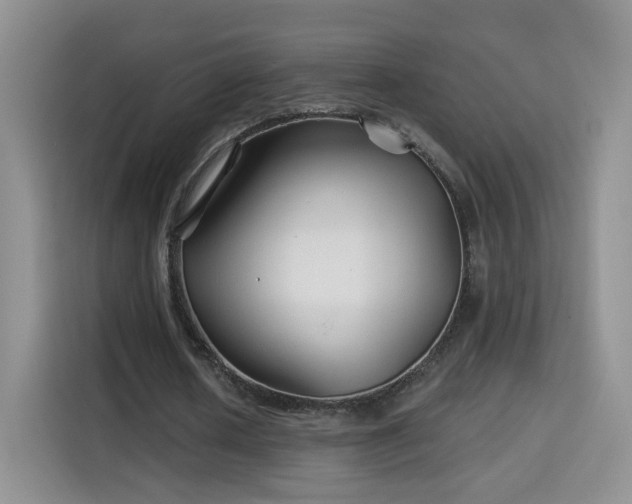 X0000115690626200911191114