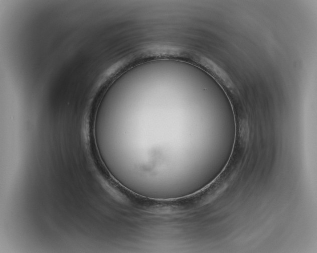 X0000115690629200911191114